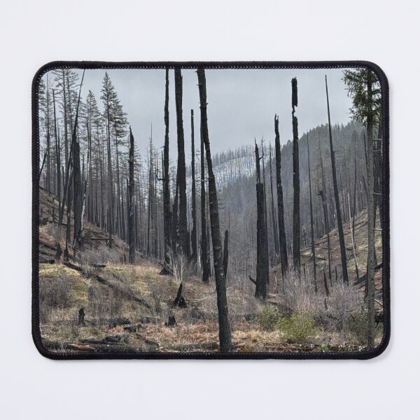 Item preview, Fall creek aftermath designed and sold by Beau Gordon.