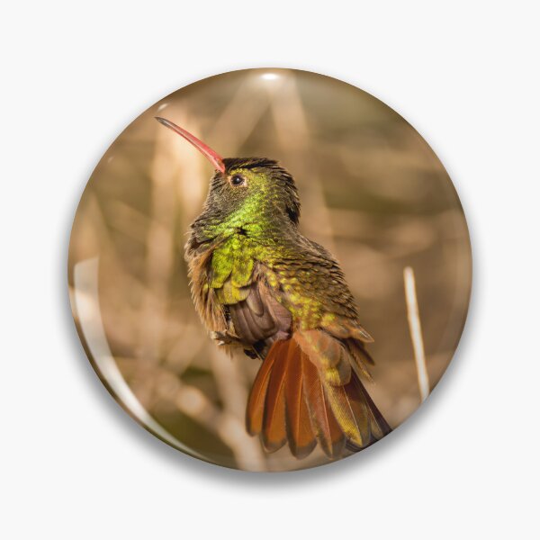 Item preview, Hummingbird Fanning Its Tail designed and sold by Debra Martz.