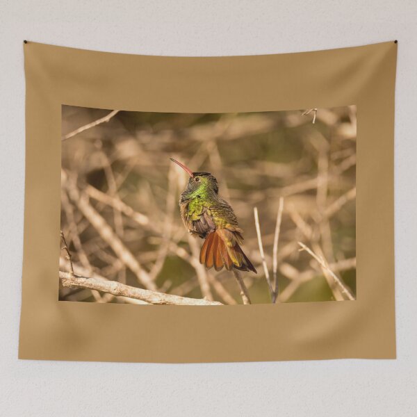 Item preview, Hummingbird Fanning Its Tail designed and sold by Debra Martz.