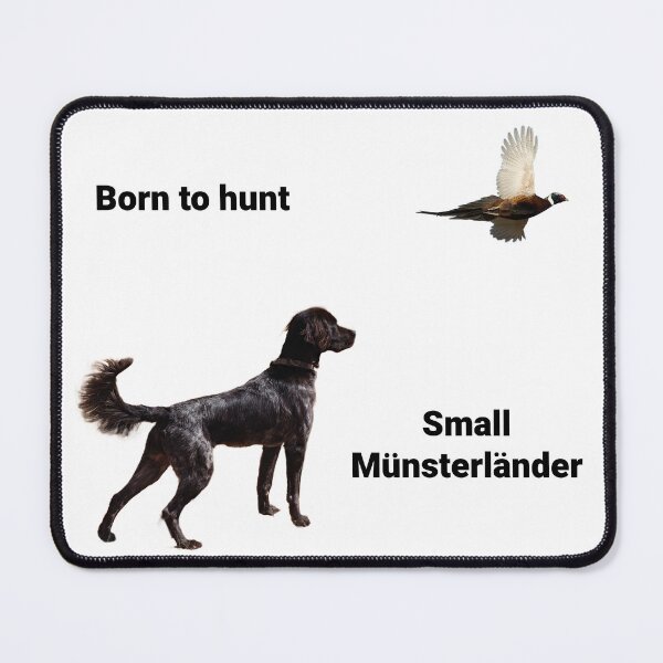 Item preview, The Small Munsterlander Dog Hunting A Pheasant designed and sold by Alaskandreamer.