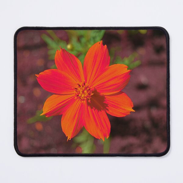 Item preview, Orange Flower designed and sold by LensArtFusion.