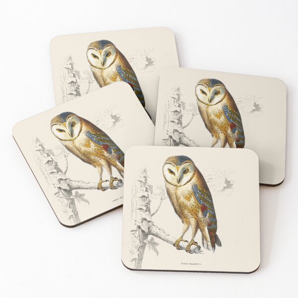 Item preview, Barn Owl Antique Naturalist Illustration designed and sold by Antiquated Art.
