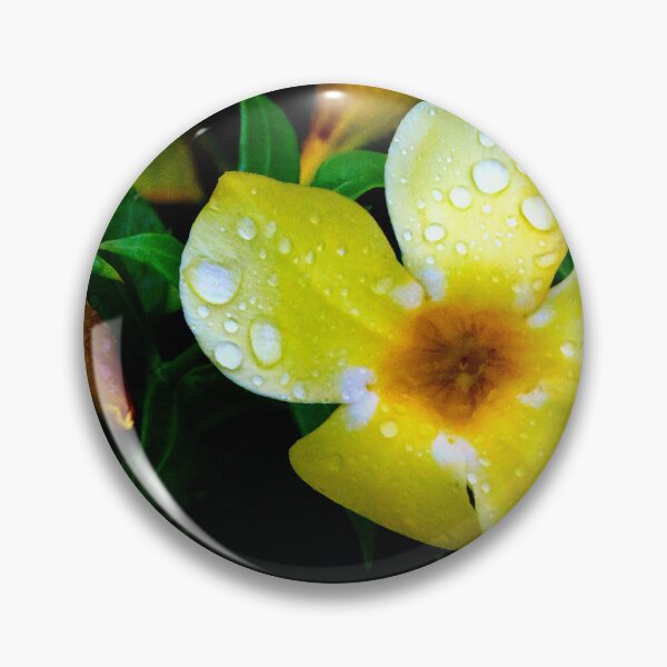 Item preview, Allamanda Cathartica Flower designed and sold by MercerImages.