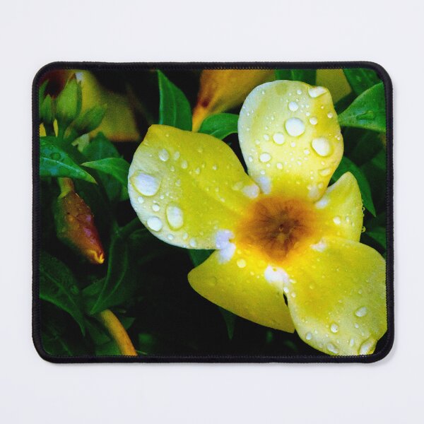 Item preview, Allamanda Cathartica Flower designed and sold by MercerImages.