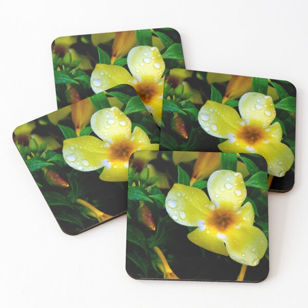 Item preview, Allamanda Cathartica Flower designed and sold by MercerImages.