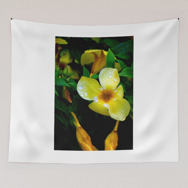 Item preview, Allamanda Cathartica Flower designed and sold by MercerImages.