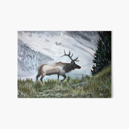 Item preview, Tundra Trek  designed and sold by Mountaineers Workshop.