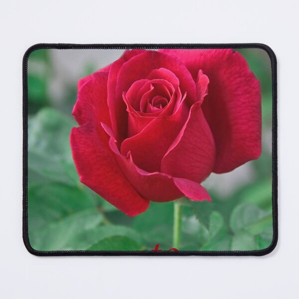 Item preview, Happy Birthday To My Daughter designed and sold by heatherfriedman.