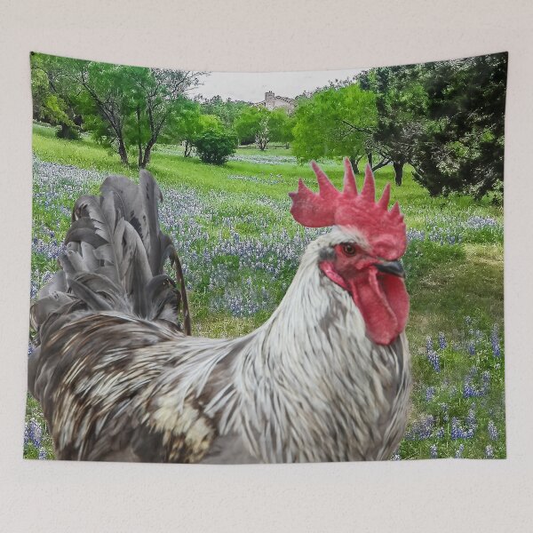 Item preview, Rooster in a Field of Bluebonnets designed and sold by heatherfriedman.