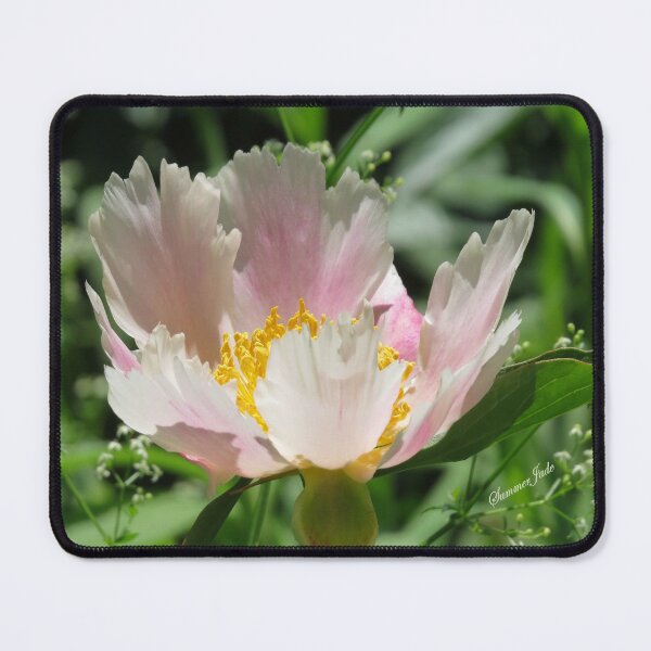 Item preview, A Single Form Peony Called Horizon designed and sold by SummerJade.