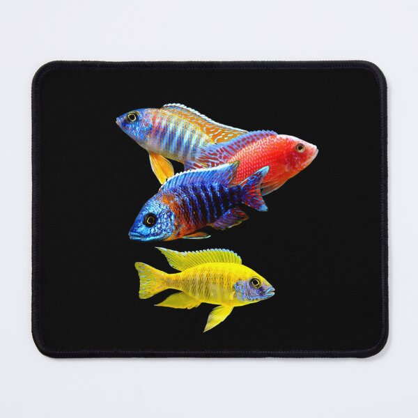Item preview, African Cichlids Peacock Cichlid Fish Freshwater Aquarium Fish Tank Lovers Art Design designed and sold by Aquarium Eclipse.