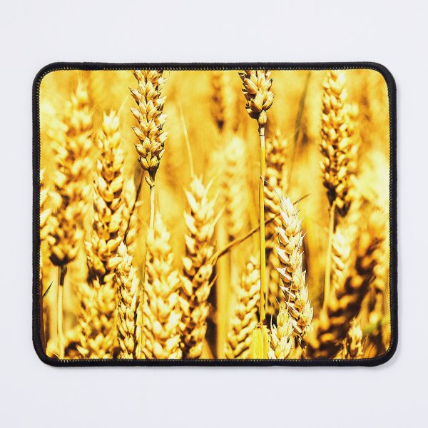 Item preview,  Golden wheat field under sunlight. designed and sold by Green studio.