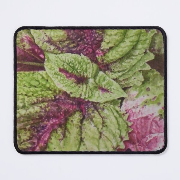 Item preview, Coleus Watercolor designed and sold by BeeGarland.