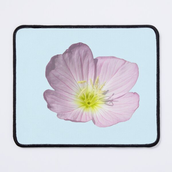 Item preview, Carefree and Wild Pink and Yellow Mexican Primrose Die Cut designed and sold by JoyousArt4u.