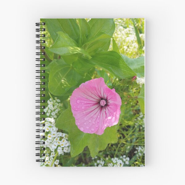 Item preview, Pink Rose Mallow Blossom designed and sold by Debbie Schulte.