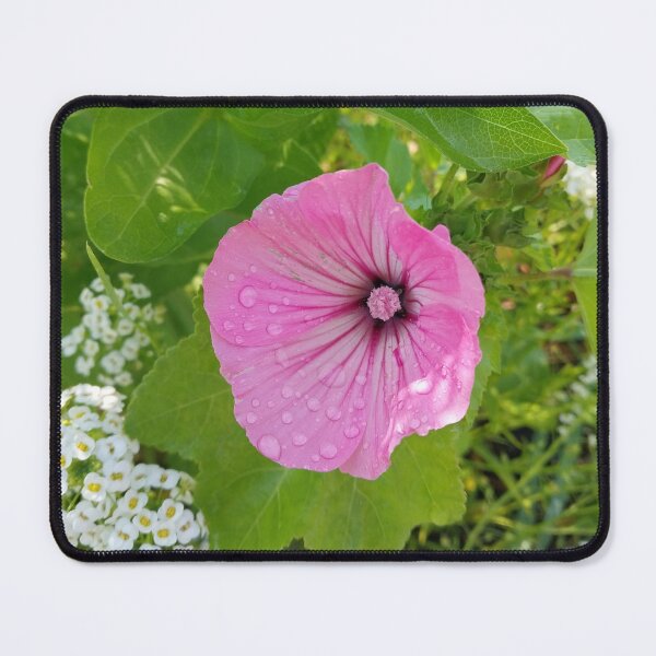 Item preview, Pink Rose Mallow Blossom designed and sold by Debbie Schulte.