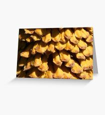 Sago Seed Pod Greeting Card