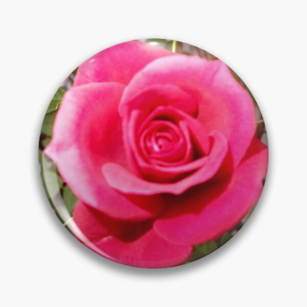 Item preview, A Rose for a Rose designed and sold by Hazel Jones - Rhodes .