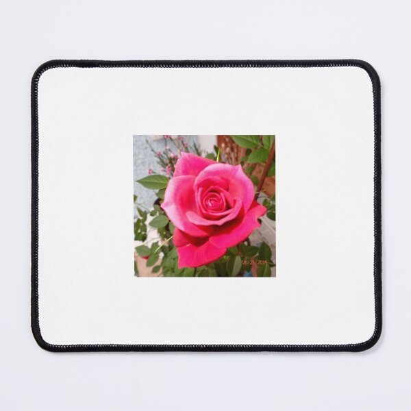 Item preview, A Rose for a Rose designed and sold by Hazel Jones - Rhodes .