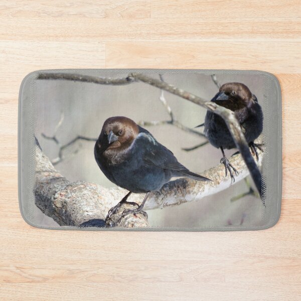Item preview, Brown-Headed Cowbird ~ Handsome Pest  designed and sold by SummerJade.