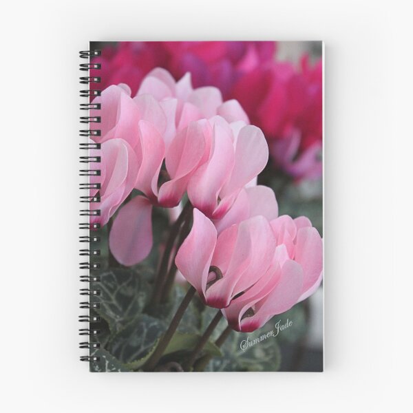 Item preview, Pink Cyclamen ~ A Living Decoration designed and sold by SummerJade.