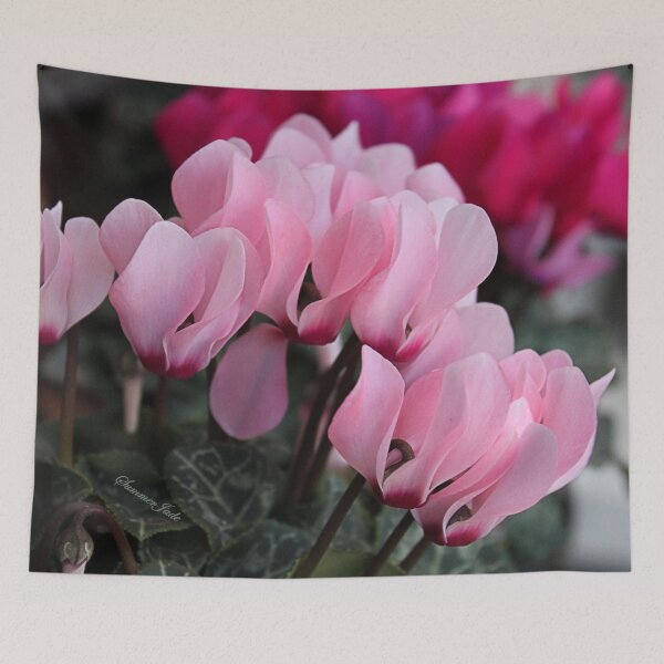 Item preview, Pink Cyclamen ~ A Living Decoration designed and sold by SummerJade.