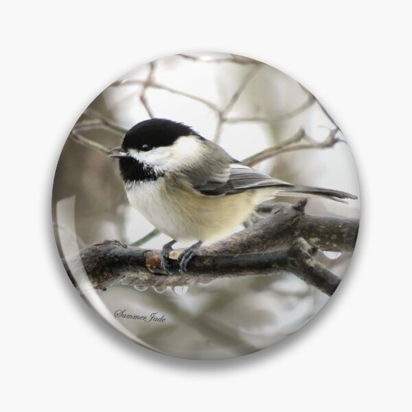 Artikelvorschau, Ich sehe ein Januar-Tauwetter ~ Chickadee entworfen und verkauft von SummerJade.