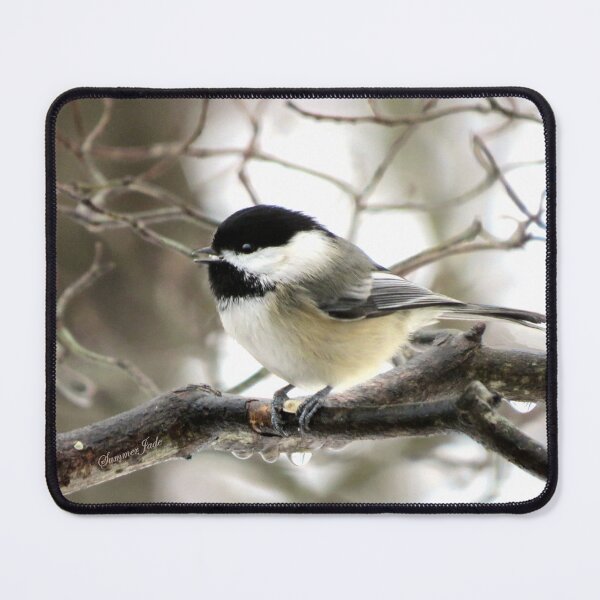 Item preview, I Spy a January Thaw ~ Chickadee   designed and sold by SummerJade.