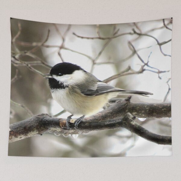 Item preview, I Spy a January Thaw ~ Chickadee   designed and sold by SummerJade.