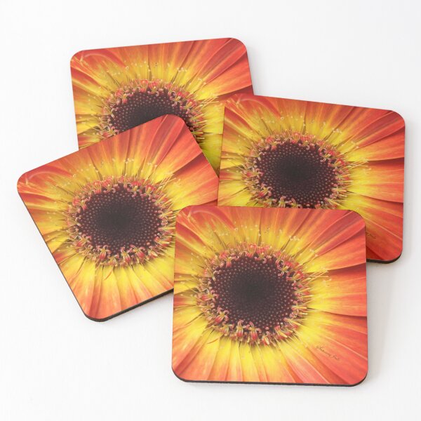 Item preview, Orange Gerbera Daisy ~ Macro designed and sold by SummerJade.