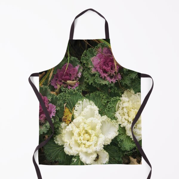 Item preview, Flowering Kale ~ Ornamental Cabbage designed and sold by SummerJade.