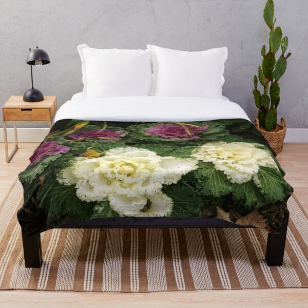 Item preview, Flowering Kale ~ Ornamental Cabbage designed and sold by SummerJade.