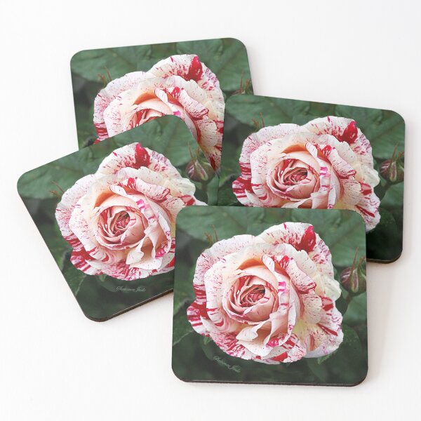 Item preview, Peppermint Rose ~ Sweet and Spicy  designed and sold by SummerJade.