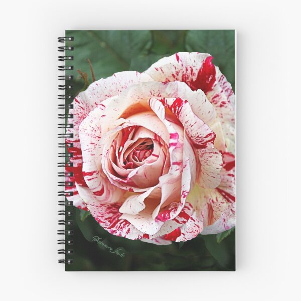 Item preview, Peppermint Rose ~ Sweet and Spicy  designed and sold by SummerJade.