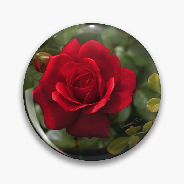 Item preview, My Love is Like a Red, Red Rose... designed and sold by SummerJade.
