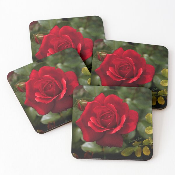 Item preview, My Love is Like a Red, Red Rose... designed and sold by SummerJade.