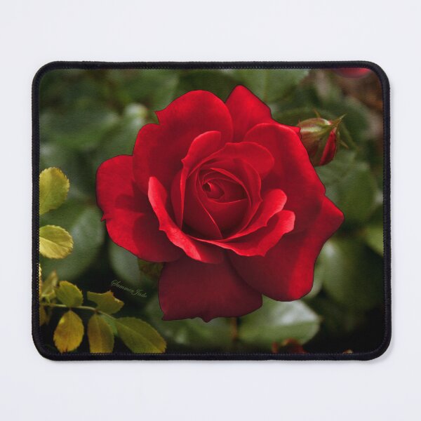 Item preview, My Love is Like a Red, Red Rose... designed and sold by SummerJade.