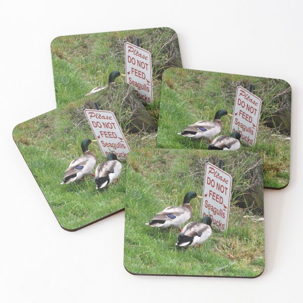 Item preview, “Hey, Drake, Read the Bottom Line!” designed and sold by SummerJade.