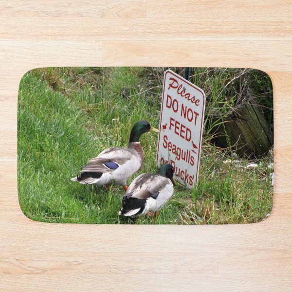 Item preview, “Hey, Drake, Read the Bottom Line!” designed and sold by SummerJade.
