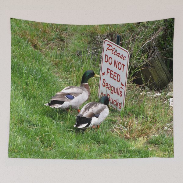 Item preview, “Hey, Drake, Read the Bottom Line!” designed and sold by SummerJade.
