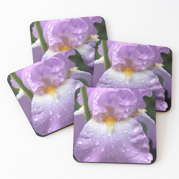 Item preview, Rain Catcher Iris ~ A Pretty Wet Flower designed and sold by SummerJade.