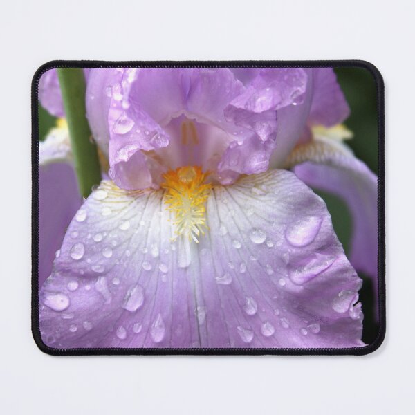 Item preview, Rain Catcher Iris ~ A Pretty Wet Flower designed and sold by SummerJade.