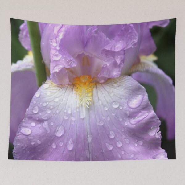 Item preview, Rain Catcher Iris ~ A Pretty Wet Flower designed and sold by SummerJade.