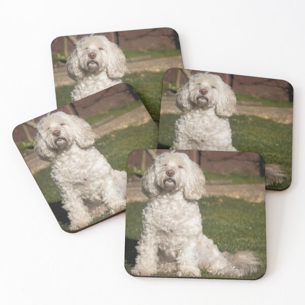 Item preview, Buddy designed and sold by JEZ22.