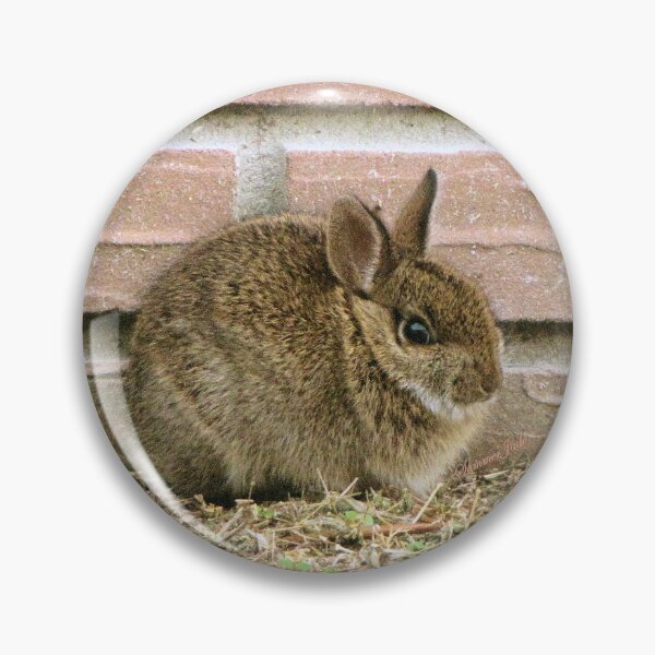 Item preview, Florida Yard Bunny ~ a Wild Rabbit designed and sold by SummerJade.