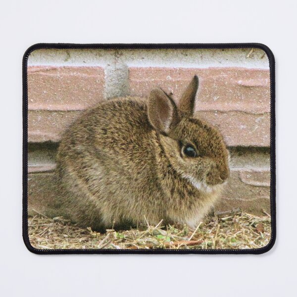 Item preview, Florida Yard Bunny ~ a Wild Rabbit designed and sold by SummerJade.