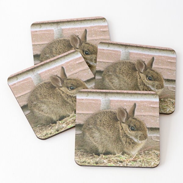 Item preview, Florida Yard Bunny ~ a Wild Rabbit designed and sold by SummerJade.