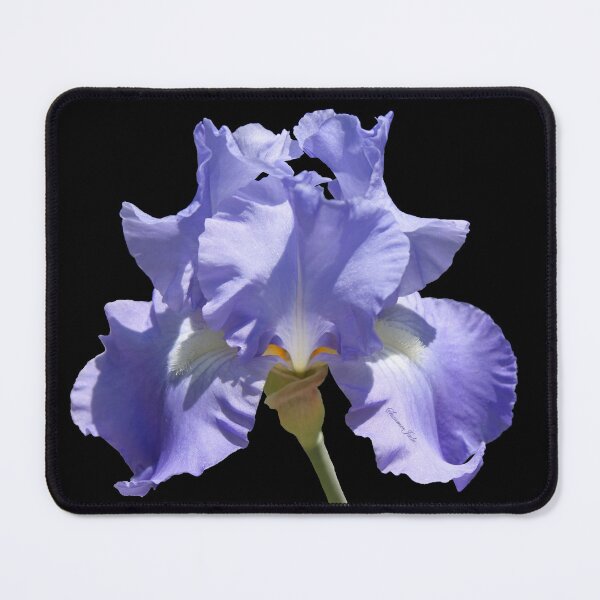 Item preview, One Beautiful Purple Iris  designed and sold by SummerJade.