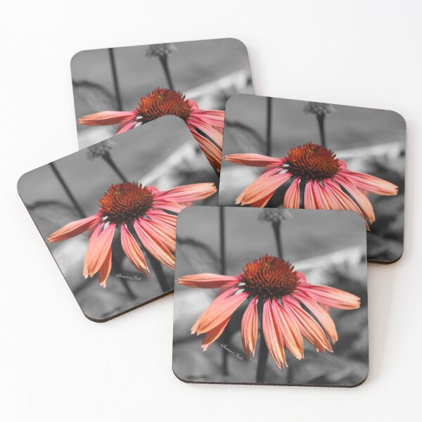 Item preview, Perennial Harmony Sunset Echinacea designed and sold by SummerJade.
