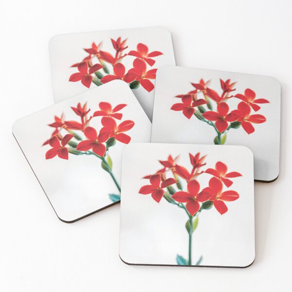 Item preview, Kalanchoe Flowers designed and sold by HectorCantres.